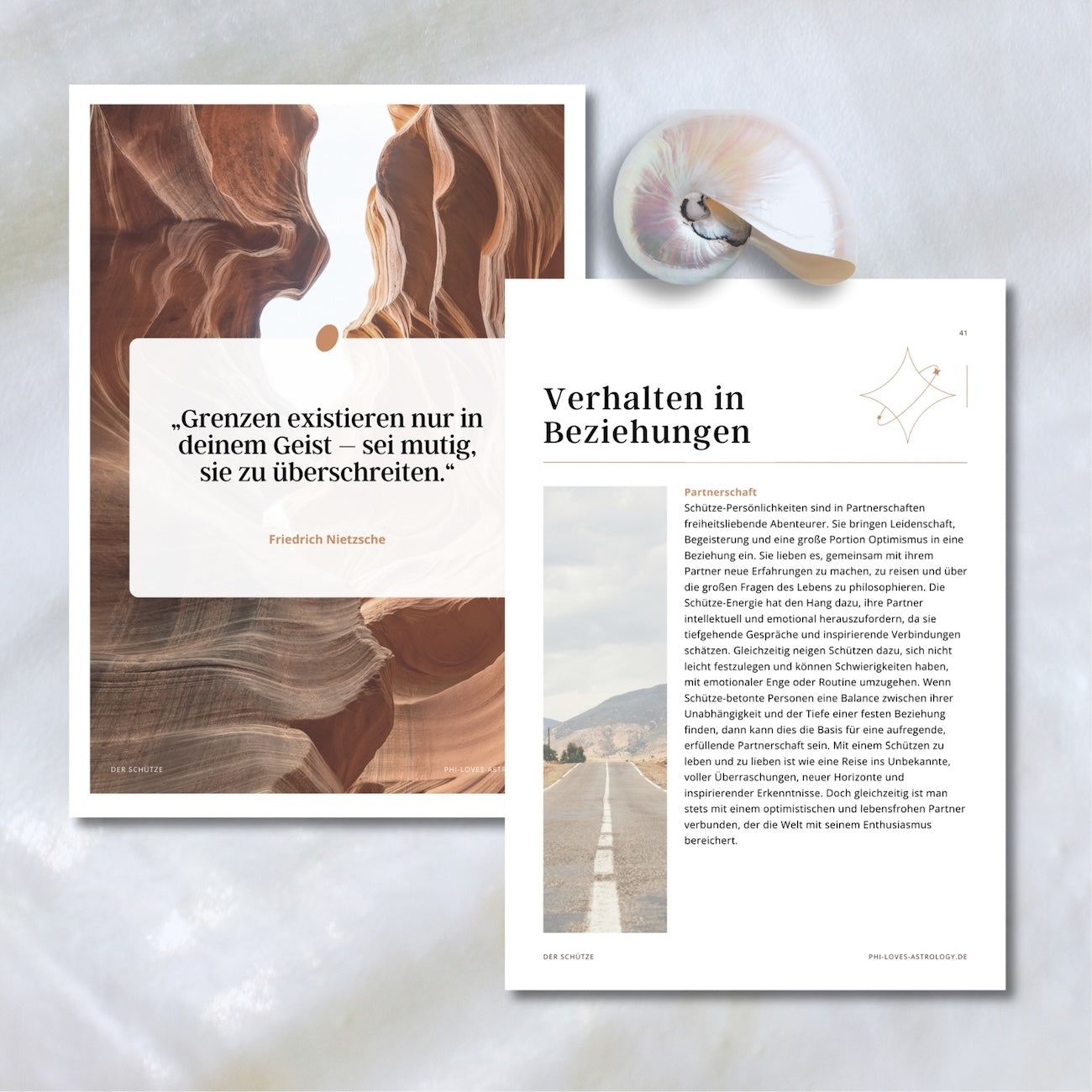 eBook - Der Schütze