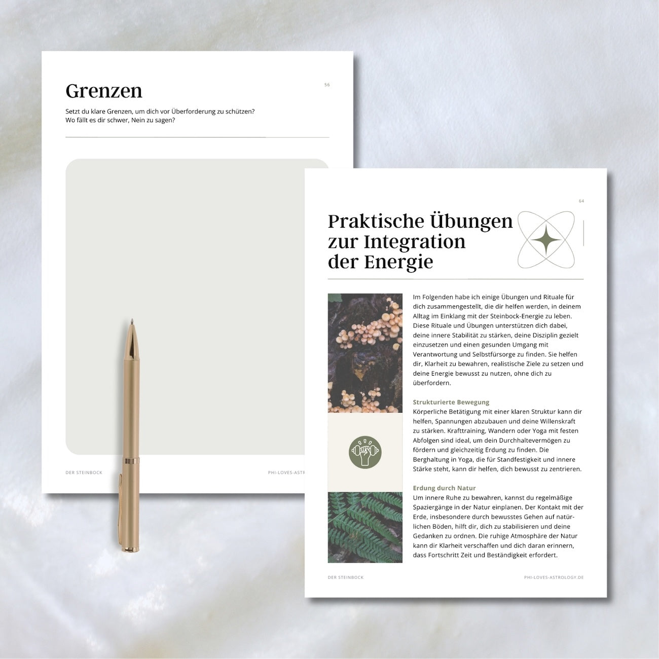 eBook - Der Steinbock